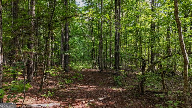110 Handy Road, Newnan, GA 30263