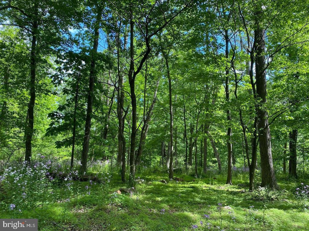 12509 STOTTLEMYER RD, Myersville, MD 21773