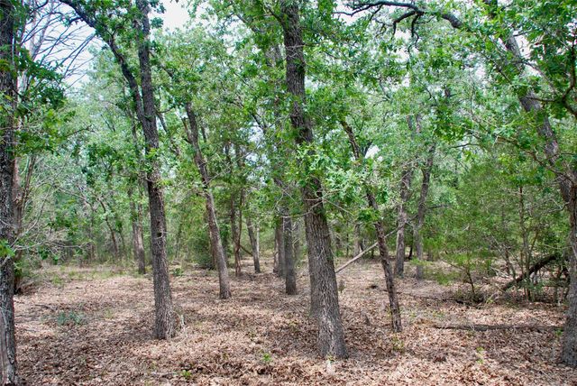 1649 Davis Road, Muldoon, TX 78949