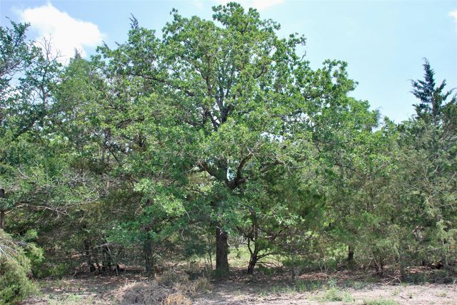 1649 Davis Road, Muldoon, TX 78949