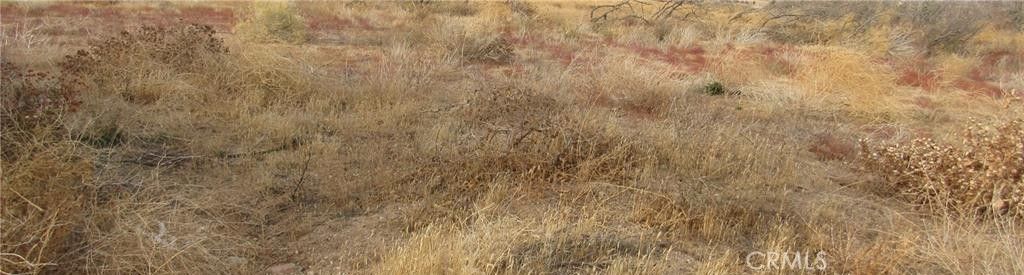 Image 1 of property listing at 0 043-330-01-07-5 Twisselman Road, Lost Hills, CA 93249
