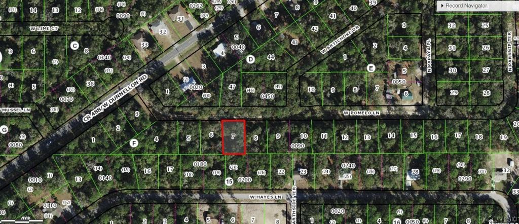 9712 W Pomelo Lane, Crystal River, FL 34428