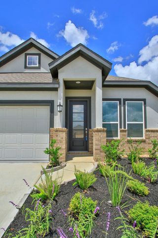 27222 Grass Cliff Lane, Hockley, TX 77447