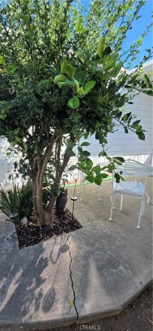 4095 Fruit 104, La Verne, CA 91750