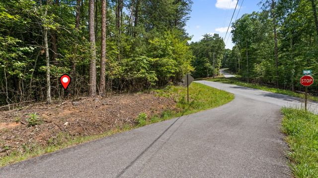 Lot 41 Tomahawk Lane, Mineral Bluff, GA 30559
