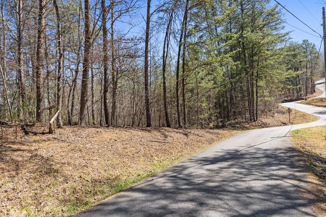 Lot 41 Tomahawk Lane, Mineral Bluff, GA 30559