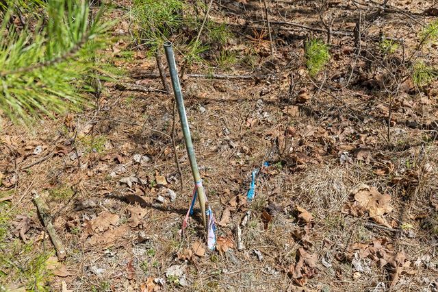 Lot 41 Tomahawk Lane, Mineral Bluff, GA 30559