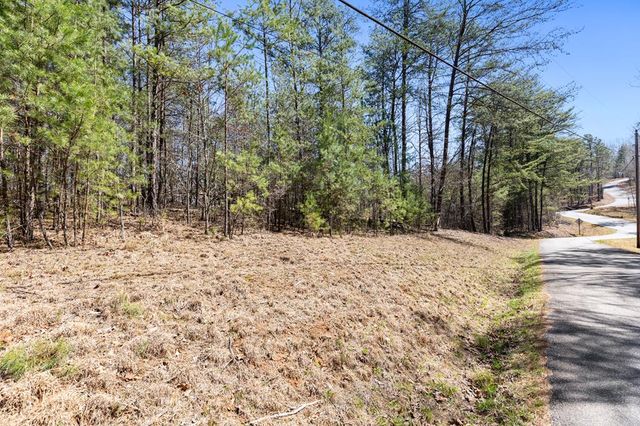 Lot 41 Tomahawk Lane, Mineral Bluff, GA 30559