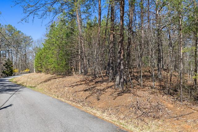 Lot 41 Tomahawk Lane, Mineral Bluff, GA 30559