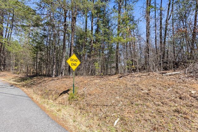 Lot 41 Tomahawk Lane, Mineral Bluff, GA 30559
