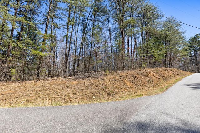 Lot 41 Tomahawk Lane, Mineral Bluff, GA 30559