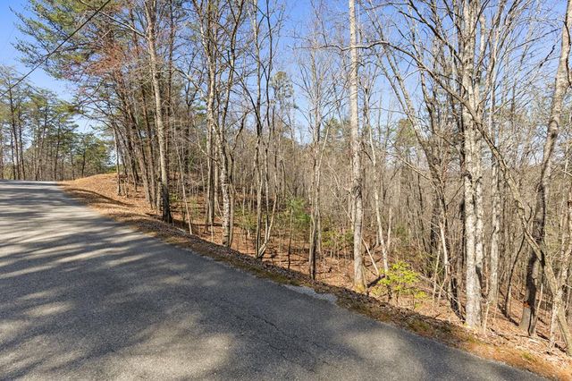 Lot 41 Tomahawk Lane, Mineral Bluff, GA 30559