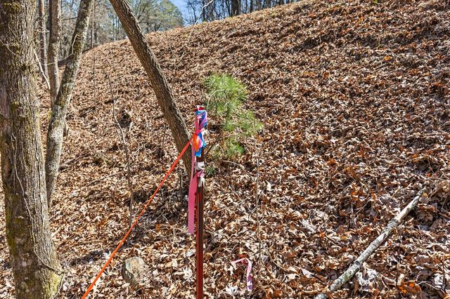 Lot 41 Tomahawk Lane, Mineral Bluff, GA 30559