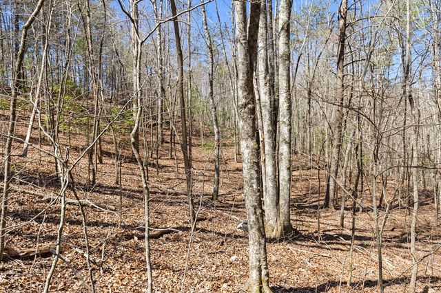 Lot 41 Tomahawk Lane, Mineral Bluff, GA 30559