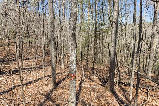 Lot 41 Tomahawk Lane, Mineral Bluff, GA 30559