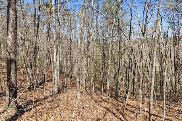 Lot 41 Tomahawk Lane, Mineral Bluff, GA 30559