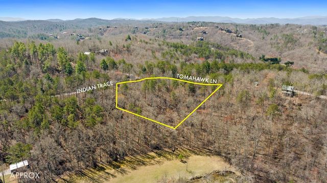 Lot 41 Tomahawk Lane, Mineral Bluff, GA 30559