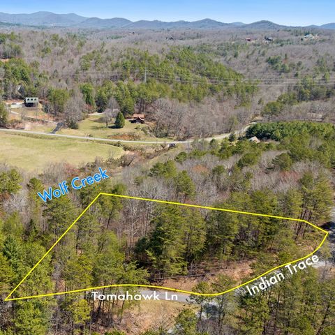 Lot 41 Tomahawk Lane, Mineral Bluff, GA 30559