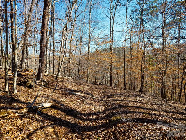 TBD Rondo Ridge Road, Tryon, NC 28782