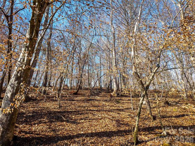 TBD Rondo Ridge Road, Tryon, NC 28782