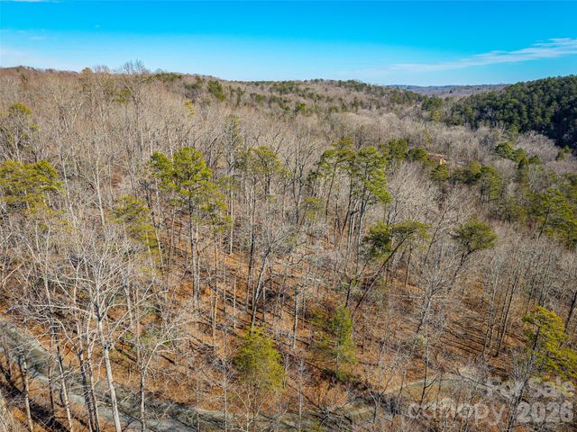 TBD Rondo Ridge Road, Tryon, NC 28782