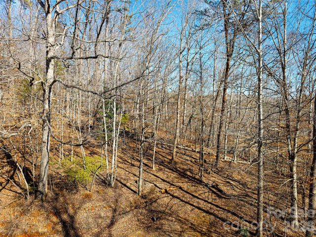 TBD Rondo Ridge Road, Tryon, NC 28782