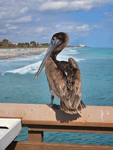 1701 Mizzenmast Way, Jupiter, FL 33477