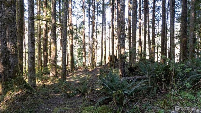 999 Night Hawk Lane, Clallam Bay, WA 98326