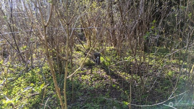 999 Night Hawk Lane, Clallam Bay, WA 98326