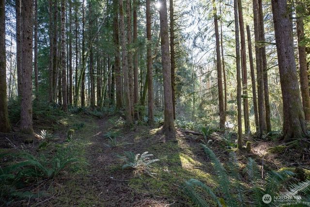 999 Night Hawk Lane, Clallam Bay, WA 98326
