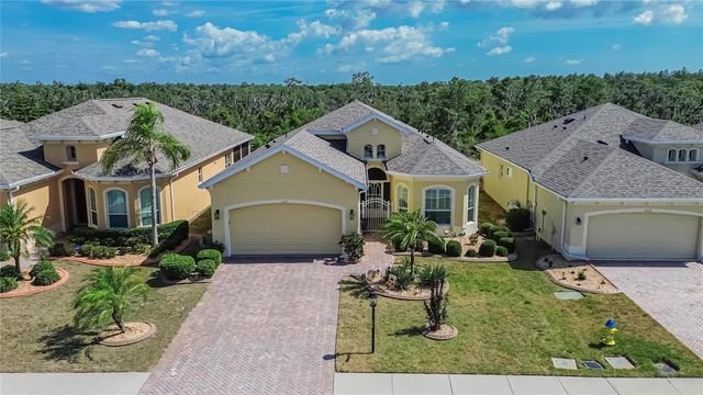1525 EMERALD DUNES DRIVE, Sun City Center, FL 33573