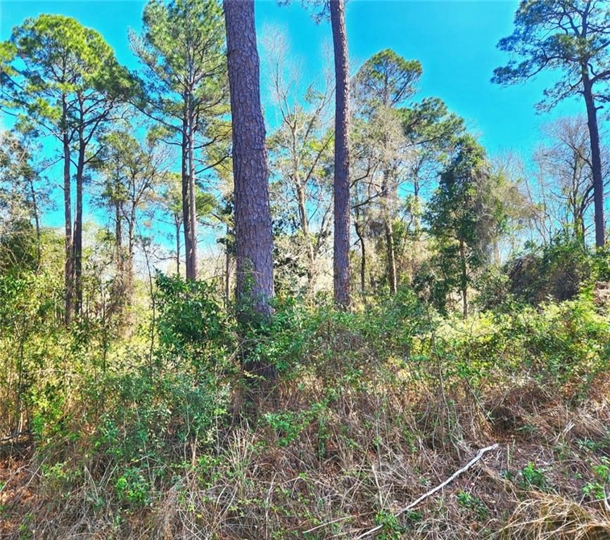 0 Dauphin Island Parkway, Theodore, AL 36582
