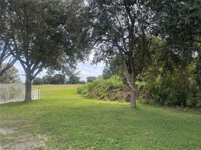 3226 BELLERICAY LANE, Land O Lakes, FL 34638