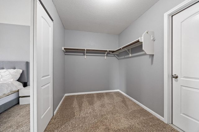 12116 Walter Vaughn DR, Manor, TX 78653