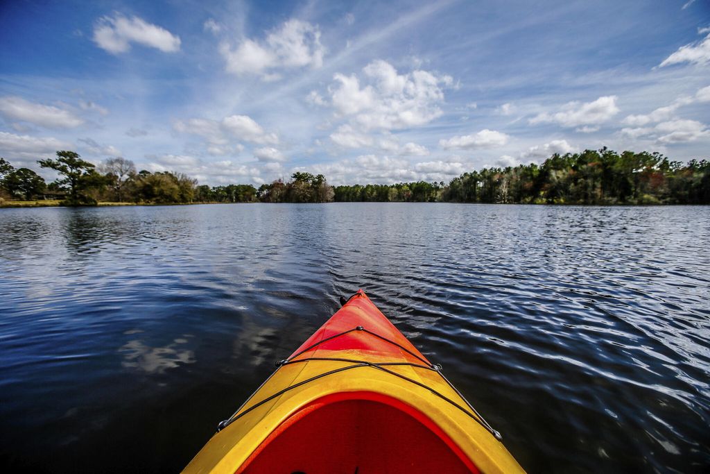 Image 12 of property listing at 992 Scotch Bonnet Way, Summerville, SC 29485