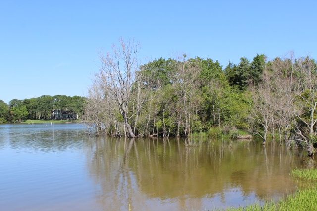 Lot 30 Crow, Normangee, TX 77871