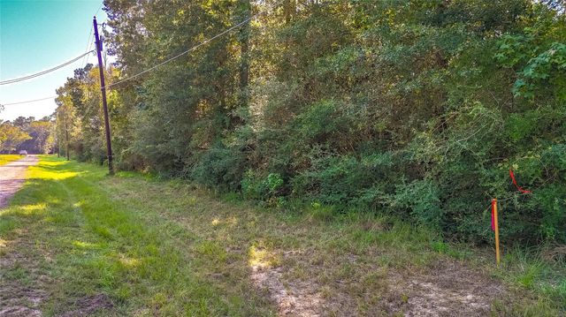 TBD 28 Timber Grove, Livingston, TX 77351