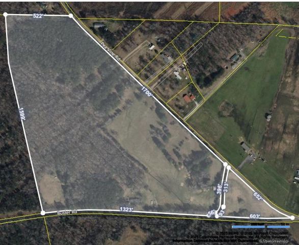 3095 BUSTER RD, Middleton, TN 38052