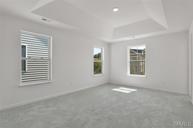 7119 Trainor Place, St Louis, MO 63116