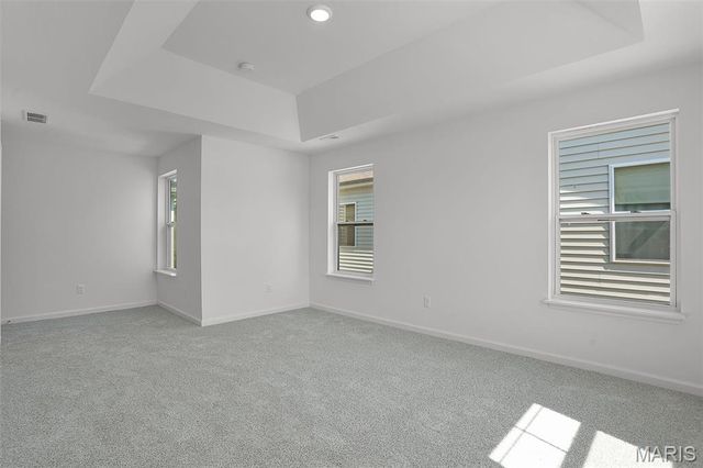 7119 Trainor Place, St Louis, MO 63116