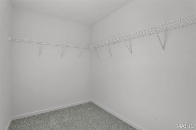 7119 Trainor Place, St Louis, MO 63116