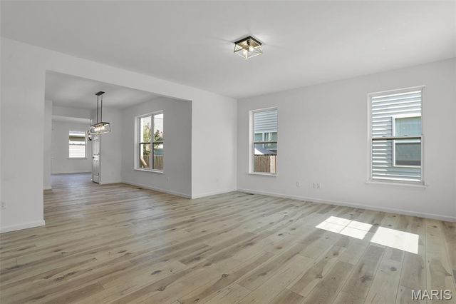 7119 Trainor Place, St Louis, MO 63116