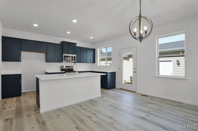 7119 Trainor Place, St Louis, MO 63116