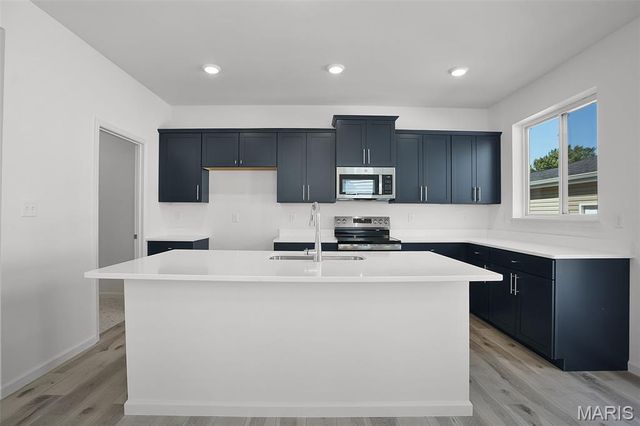 7119 Trainor Place, St Louis, MO 63116