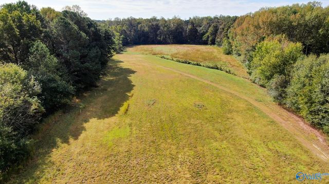 878 Lowery Road NE, Arab, AL 35016