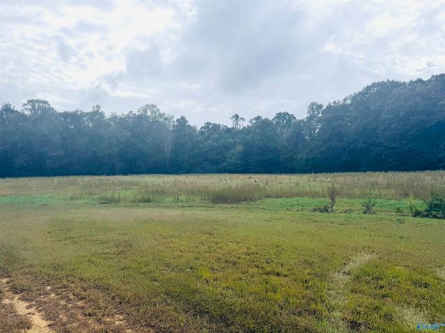 878 Lowery Road NE, Arab, AL 35016