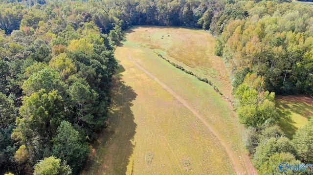 878 Lowery Road NE, Arab, AL 35016