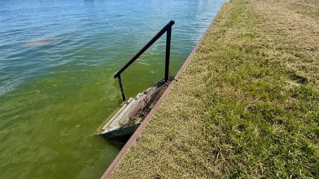 Lot 30 Marina Point, Streetman, TX 75859