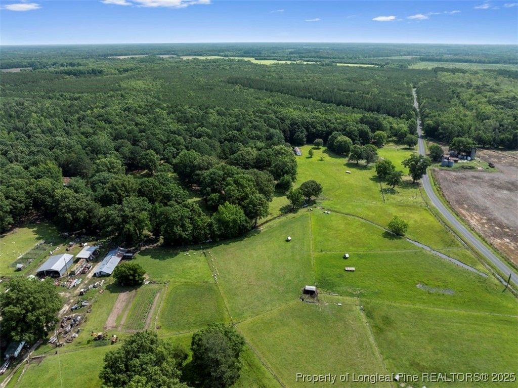TBD Rich Walker Road, Wade, NC 28395 — photo 10