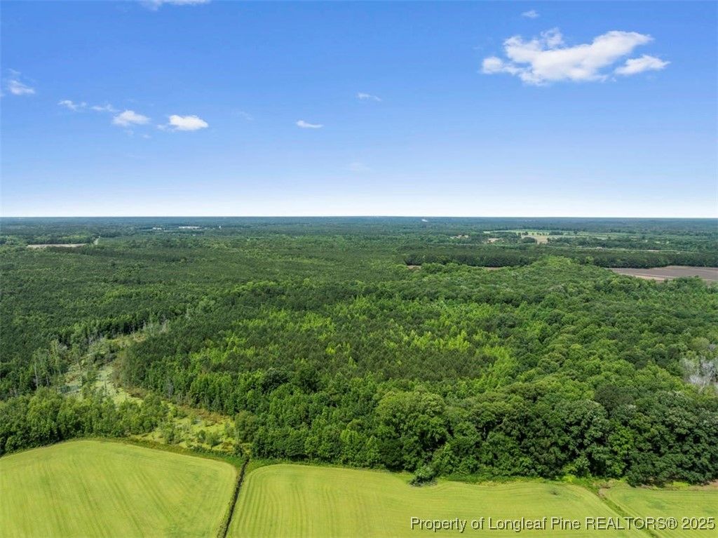 TBD Rich Walker Road, Wade, NC 28395 — photo 12